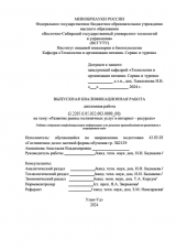 Развитие рынка гостиничных услуг в Интернет - ресурсах : ВКР бакалавра : направление подготовки 43.03.03 "Гостиничное дело"