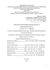 Тункинский национальный парк - ведущий туристический объект Руспублики Бурятия : ВКР бакалавра : направление подготовки 43.03.02 "Туризм"