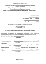 Разработка функционального сывороточного напитка : ВКР бакалавра : направление подготовки 19.03.03 "Продукты питания животного происхождения"