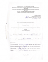 Дизайн-сопровождение региональной общественной организации Пионеры Бурятии  : ВКР бакалавра : направление подготовки 54.03.01 "Дизайн"