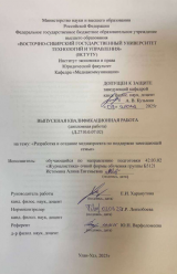 Разработка и создание медиапроекта по поддержке замещающей семьи : ВКР бакалавра : направление подготовки 42.03.02 "Журналистика"