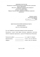 Разработка и реализация кадровой политики предприятия : ВКР бакалавра : направление подготовки 38.03.03 "Управление персоналом"