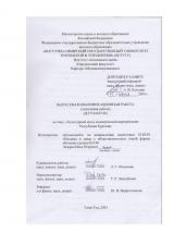 Культурный код в коммерческой видеорекламе Республики Бурятия : ВКР бакалавра : направление подготовки 42.03.01 "Реклама и связи с общественностью"