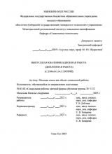Молодая семья как объект социальной работы  : ВКР бакалавра : направление подготовки 39.03.02 "Социальная работа"