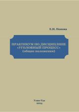 Практикум по дисциплине "Уголовный процесс" (общие положения)
