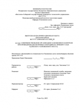 Совершенствование организации таможенного контроля при проведении досмотровых операций (на примере Улан-Удэнского таможенного поста  : ВКР специалиста : направление подготовки 38.05.02 "Таможенное дело"