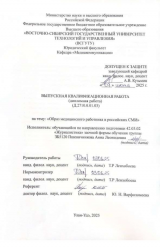 Образ медицинского работника в российских СМИ : ВКР бакалавра : направление подготовки 42.03.02 "Журналистика"