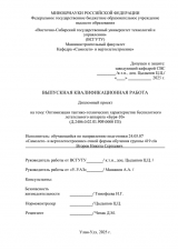 Оптимизация тактико- технических характеристик беспилотного летательного аппарата  "Буря - 10" : ВКР специалиста : специальность 24.05.07 "Самолето - и вертолетостроение"