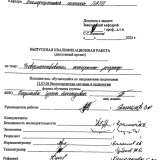 Совершенствование реографа  : ВКР бакалавра : направление подготовки 12.03.04 "Биотехнические системы и технологии"