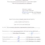 Учет и анализ основных средств : ВКР бакалавра : направление подготовки 38.03.01 "Экономика" 