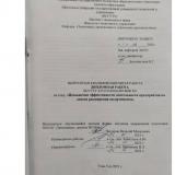 Повышение эффективности деятельности предприятия на основе расширения ассортимента