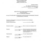 Организация таможенного контроля при помещении товаров на временное хранение  : ВКР специалиста : направление подготовки 38.05.02 "Таможенное дело"