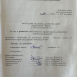 Организация технологического процесса производства хлеба и хлебобулочных изделий  : ВКР бакалавра : направление подготовки 19.03.02 "Продукты питания из растительного сырья" Организация технологического процесса производства хлеба и хлебобулочных изделий  : ВКР бакалавра : направление подготовки 19.03.02 "Продукты питания из растительного сырья"