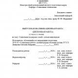 Социальная поддержка семей с детьми-инвалидами : ВКР бакалавра : направление подготовки 39.03.02 "Социальная работа"