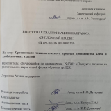 Организация технологического процесса производства пряников : ВКР бакалавра : направление подготовки 19.03.02 "Продукты питания из растительного сырья"