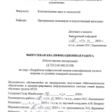 Разработка нейросетевой модели классификации лесного покровапо уровням пожарной опасности : ВКР магистра : направление подготовки 02.04.03 "Математическое обеспечение и администрирование информационных систем"