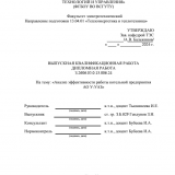 Анализ эффективности работы котельной предприятия АО УУАЗ : ВКР бакалавра : направление подготовки 13.03.01 "Теплоэнергетика и теплотехника"