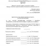 Анализ воздействия отходов с водного транспорта, в том числе бесхозных судов на оз.Байкал : направление подготовки 18.03.02 "Энерго - и ресурсосберегающие процессы в химической технологии, нефтехимии и биотехнологии"