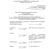 Совершенствование системы личностно-профессионального развития кадров таможенных органов (на примере Бурятской таможни) : ВКР специалиста : направление подготовки 38.05.02 "Таможенное дело"