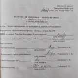 Проект предприятия по производству бацитрацина : ВКР бакалавра : направление подготовки 19.03.01 "Биотехнология"