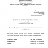 Построение системы управления командами : ВКР бакалавра : направление подготовки 38.03.03 "Управление персоналом"
