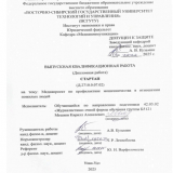 Стартап: медиапроект по профилактике мошенничества в отношении пожилых людей : ВКР бакалавра : направление подготовки 42.03.02 "Журналистика"