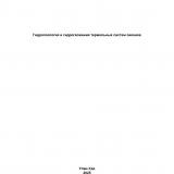 Гидрогеология и гидрогеохимия термальных систем океанов