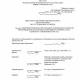 Совершенствование организации таможенного контроля при проведении досмотровых операций (на примере Улан-Удэнского таможенного поста  : ВКР специалиста : направление подготовки 38.05.02 "Таможенное дело"