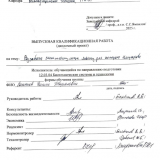 Разработка электростимулятора для аппарата Илизарова  : ВКР бакалавра : направление подготовки 12.03.04 "Биотехнические системы и технологии"