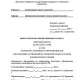 Разработка мобильного приложения для локализации загрязнений в городской среде на основе компьютерного зрения : ВКР бакалавра : направление подготовки 09.03.04 "Программная инженерия"