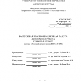 Текущий ремонт котла КВТС-20-150  : ВКР бакалавра : направление подготовки 13.03.01 "Теплоэнергетика и теплотехника"